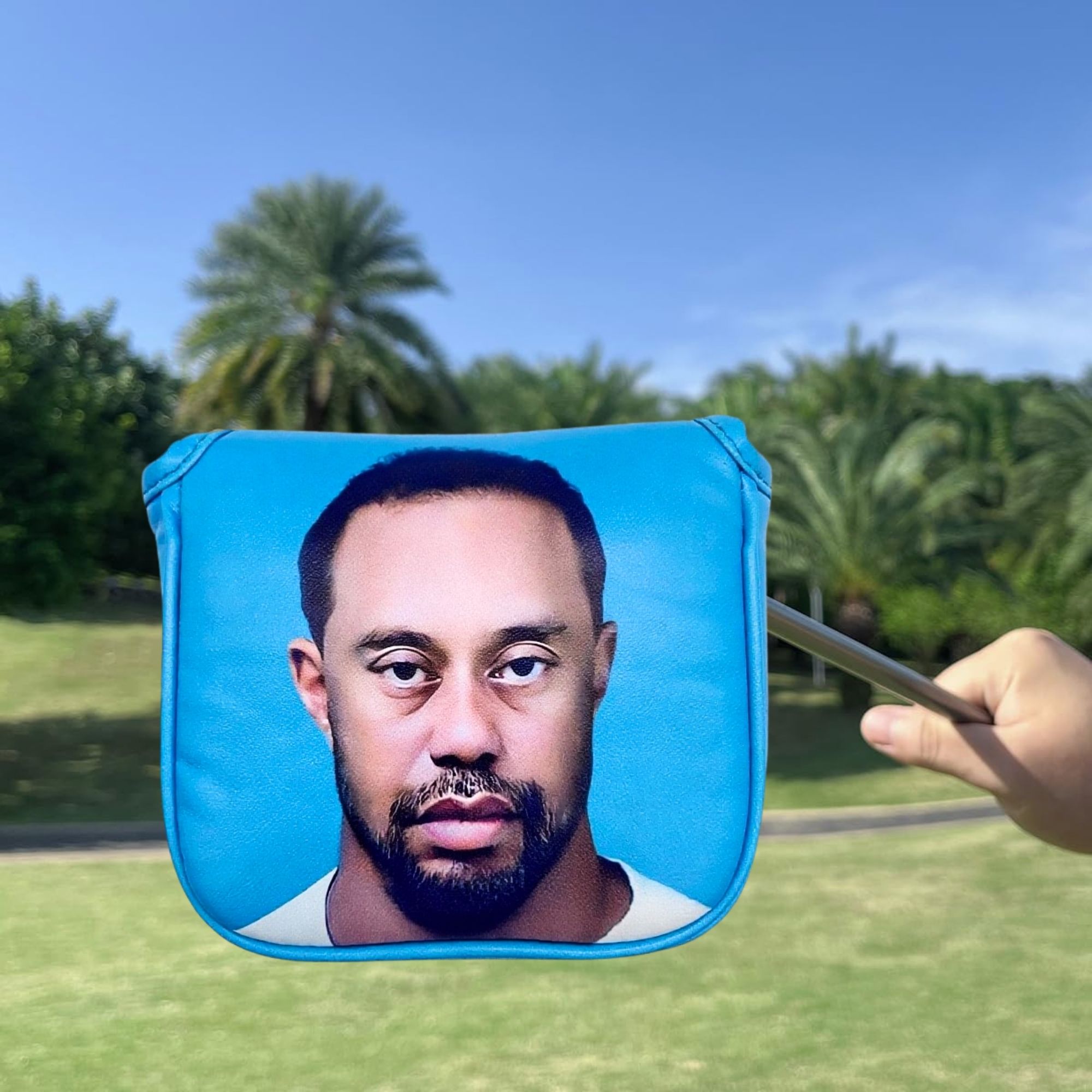 Couvre-tête de putter de maill - Golf Equipment And Accessories avis et prix